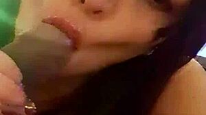 Pamela pantera gives pornographic blowjob