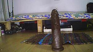 Holiday Party Turns Into Wild Anal Toy Play for Amateurs