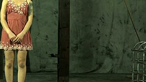 Gagged European Beauty Feels Intense Pleasure From Clamped Nipples. She Enjoys Rough Fucking, Sucking, And Spanking In Hardcore BDSM.