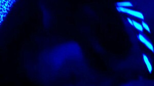 Trimmed video from December 31, 2012!