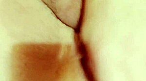 Bbw latina shemale stevi dolly assfucks with big ass and toys