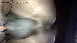 Good Pussy: Exploring Form And Function In Detail