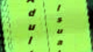 My real desire is to see big tits and ass in this indian game, but i make errors