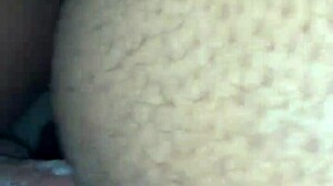 Creamy dessert delight