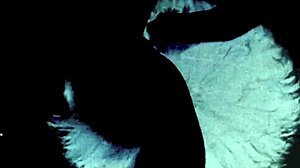 Two centuries of hairy lesbian vintage