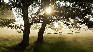 taking my girlfriend to the farm for fun