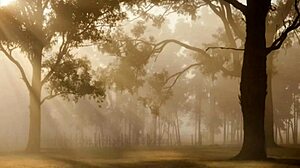 taking my girlfriend to the farm for fun