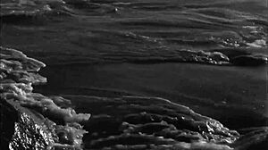 My secret life has changed with mature hairy retro scenes