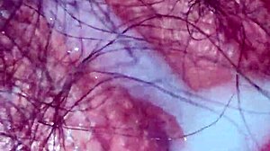 mi papi se mete en mi cama y deja su leche en mi coño peludo?