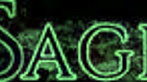 Does Sinn Sage have a crush on Aiden Starr?