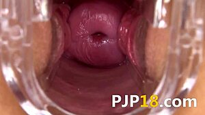 Hard cunt dildoing shows vagina deeply