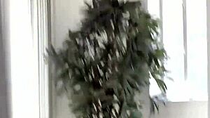 reality teen gets facial at party 😏