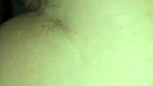 putas casadas se divertem com roludo no glory hole with muff diving and cunilingus.