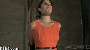 Upside down babe gives blow job