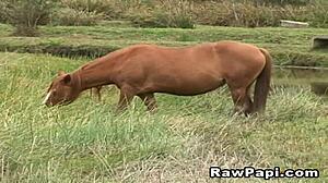 extremely latino gay couple hot fucking in passionate bareback sessions