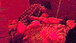 Suggestive Fucking with Straight Married Friend Part Four