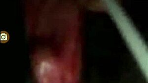 Exploring egyptian and japanese cultures in a sexy voyeur style