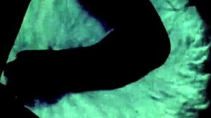 vintage erotica collection one