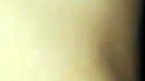 hard dick gets sucked real good by somebody's mom