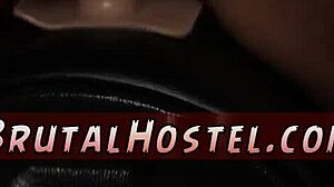 Huge Tits Tourist Excited by Dildo Play