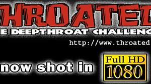 collection of blowjob photos from various scenes