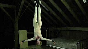 Explore sadomasochism sex tubes with wet pussy and intense blowjob