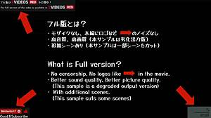 淫語ボイス　エロアニメ　実はド淫乱な淑女がハードな中出しプレイ　asmr　サンプル版