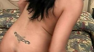 this horny brunette babe gives an amazing blowjob