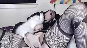 The fur coat diaries part 11?