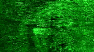 Ninfeta Morena Senta Gostoso!