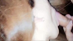 Amazing Japanese Mature Blowjob Technique in Hentai Style!