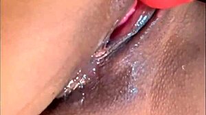 Naughty girl feels intense pleasure squirting and begging for cum