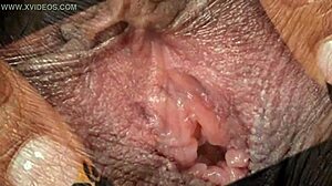 black ebonny's hairy pussy close up