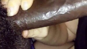 racist toni c sucking bbc 😈