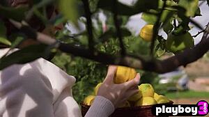 sexy big ass brunette teen 18+ hayli sanders posing naked