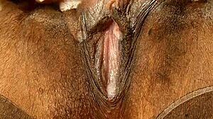 black ebonny's hairy pussy close up