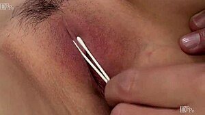 日本美女无毛大奶秀