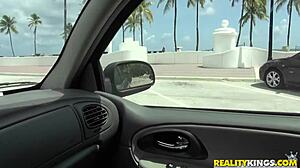 rose shadows blows in reality kings web chat