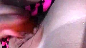 Let's cook a delicious dinner together.