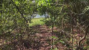 Camping Vlog: River Bath and Wild Amateur Action in Brazil