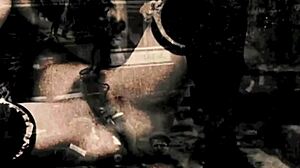 Black On Black Passion Unleashed