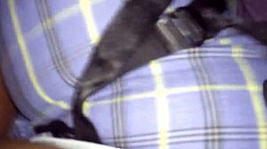 lesbian riding strap in reverse cowgirl