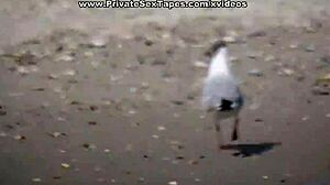 Sexy blonde girlfriend gets raunchy intense fucking on holiday vacation.