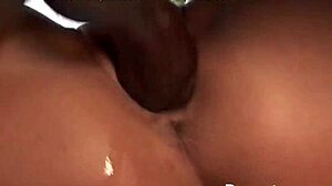 Busty anna nova sucks a big black cock outdoors