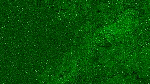 I peed in my jeans and got a golden shower on my face 😳