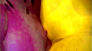 Adventures in the wild life of nature.