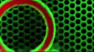 Thick Thighs Siri Tongue Fucks Kimberly Kane And Dixie Comet