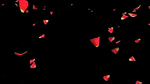 a rose by any other name in anime hentai style