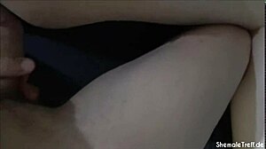 Beautiful shemale with monster cock plays with my body