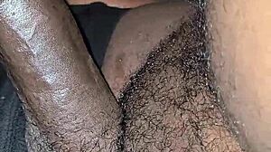 my favorite white woman sucks my dick so good